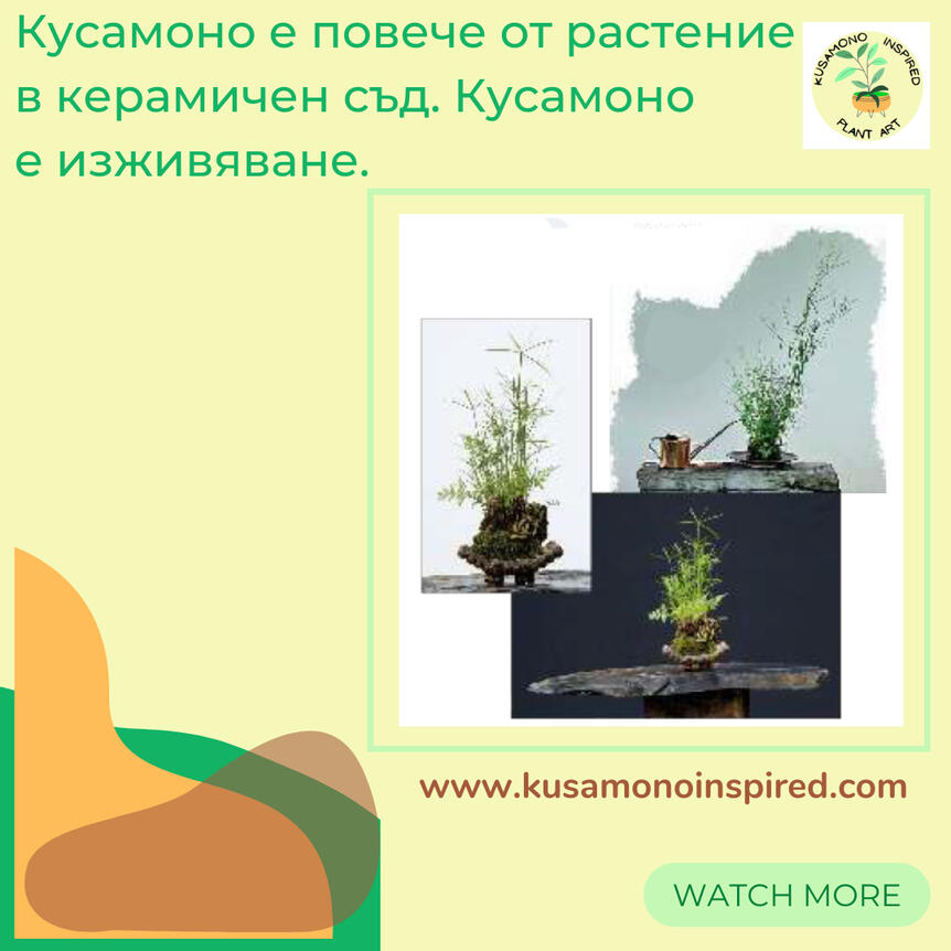 FB рекламно каре